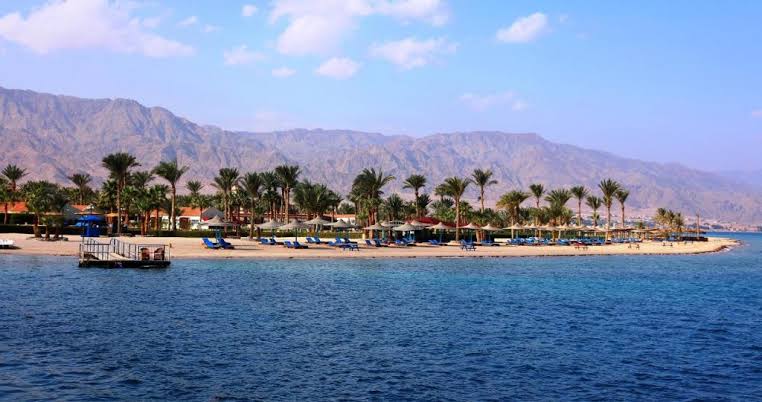 صورة 3